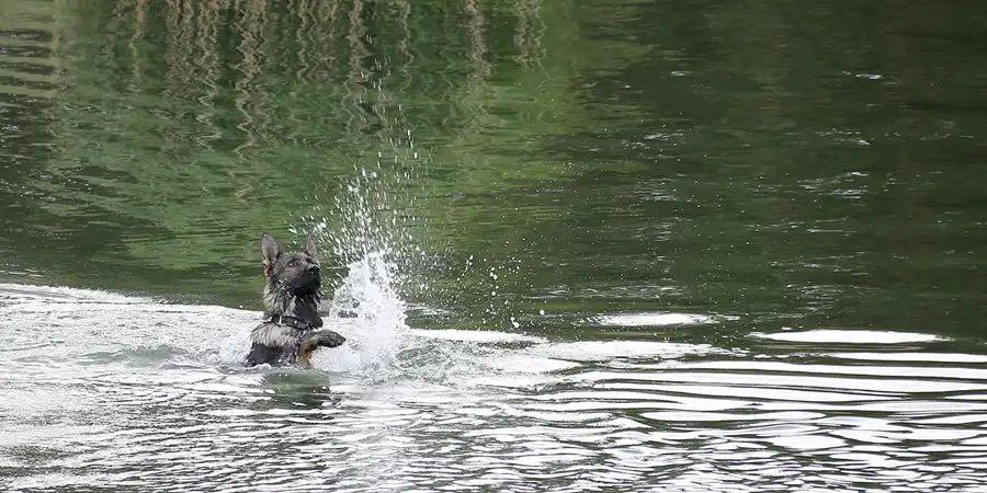 009 | 2022 | Sornoer Kanal | © carsten riede fotografie