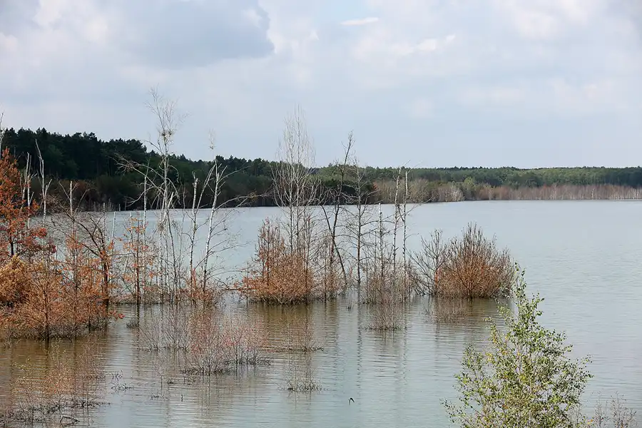 016 | 2022 | Ablauf Koschener Kanal | © carsten riede fotografie