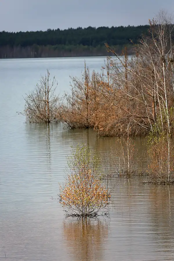 017 | 2022 | Ablauf Koschener Kanal | © carsten riede fotografie