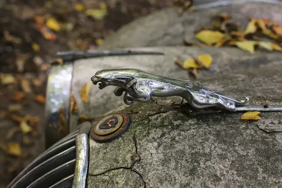 029 | 2022 | Erkrath | Auto-Skulpturen-Park | © carsten riede fotografie