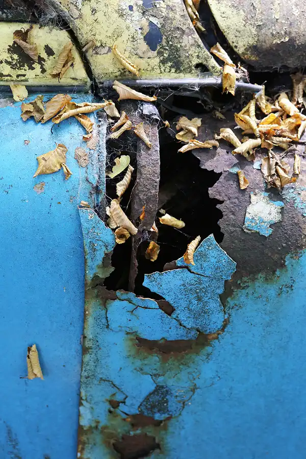 040 | 2022 | Erkrath | Auto-Skulpturen-Park | © carsten riede fotografie