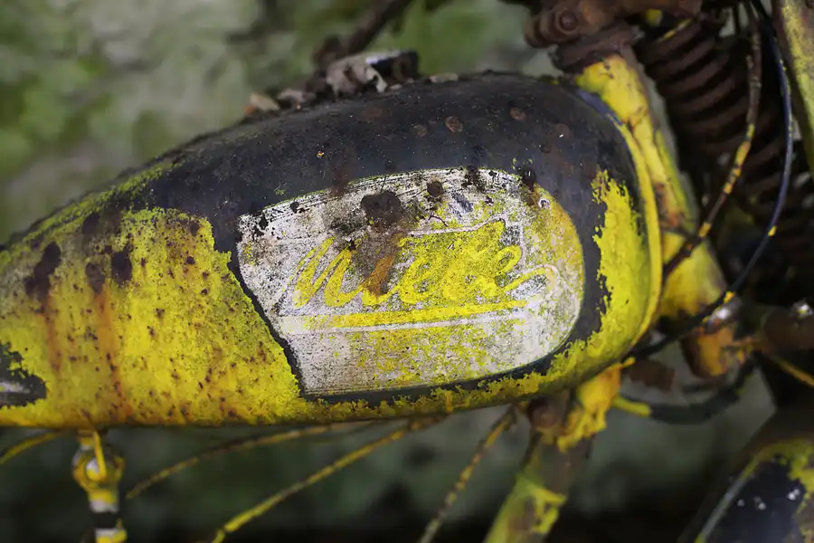 057 | 2022 | Erkrath | Auto-Skulpturen-Park | © carsten riede fotografie