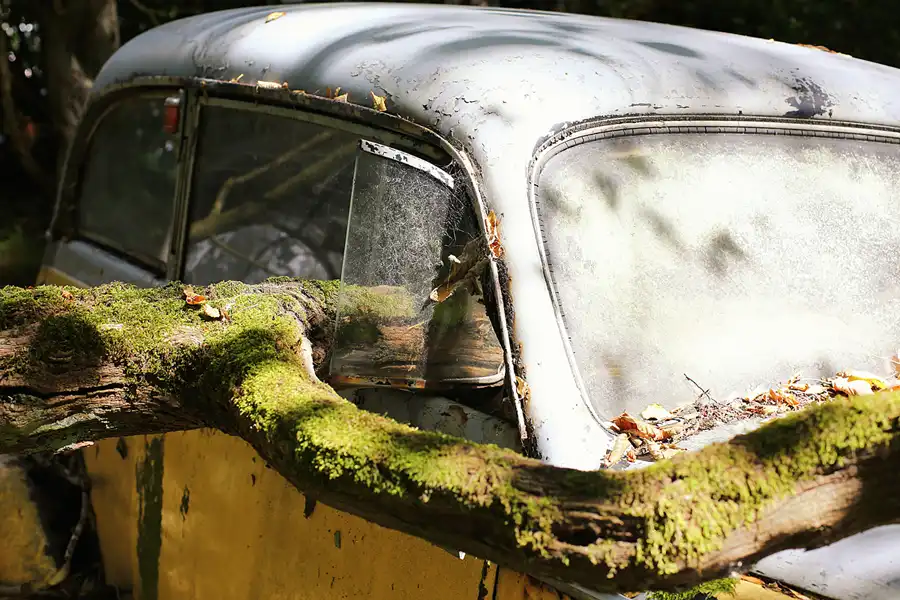 077 | 2022 | Erkrath | Auto-Skulpturen-Park | © carsten riede fotografie