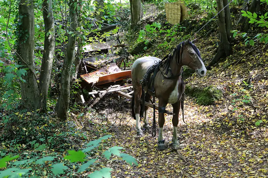 122 | 2022 | Erkrath | Auto-Skulpturen-Park | © carsten riede fotografie