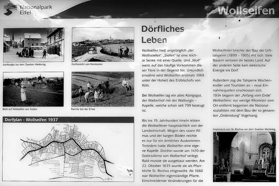 002 | 2022 | Wollseifen | © carsten riede fotografie