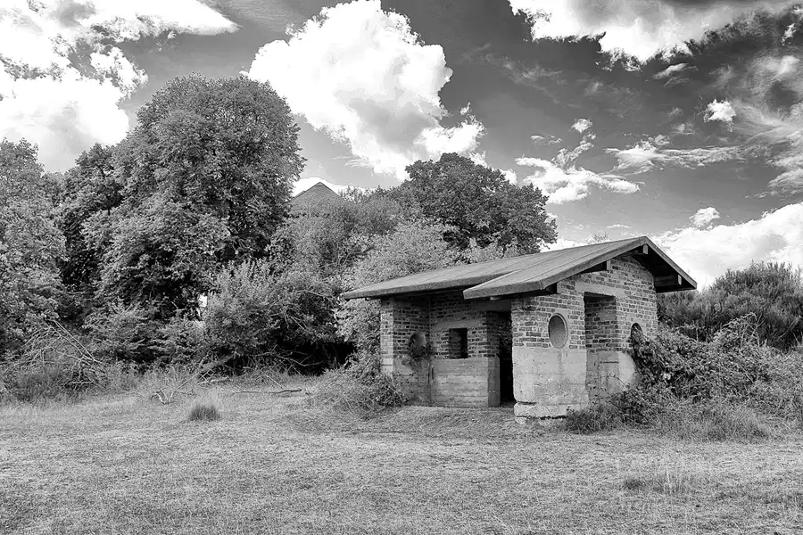 009 | 2022 | Wollseifen | © carsten riede fotografie