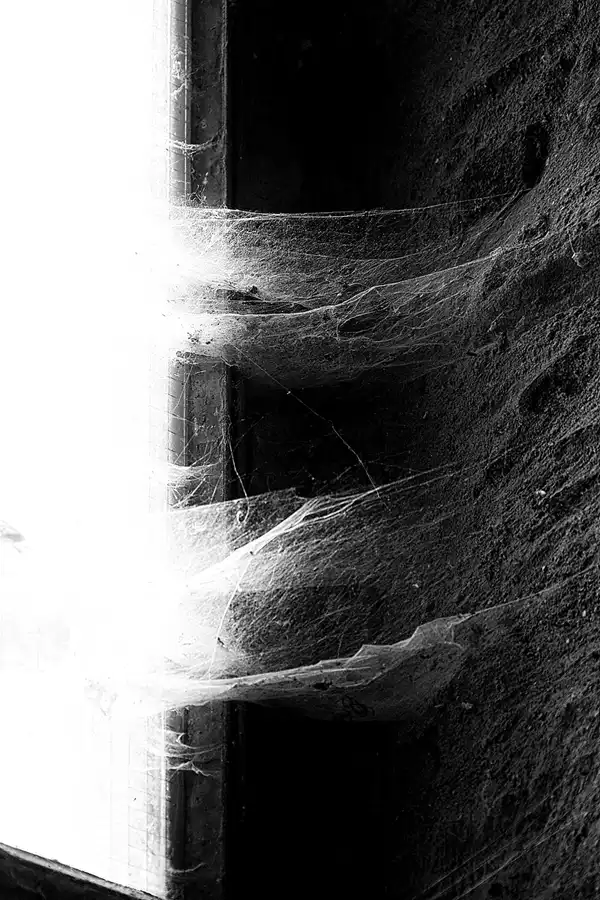 015 | 2022 | Wollseifen | Pfarrkirche St. Rochus | © carsten riede fotografie