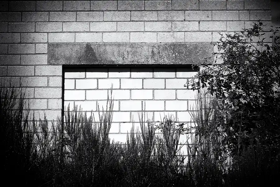 029 | 2022 | Wollseifen | © carsten riede fotografie