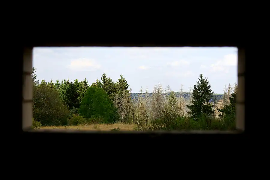 033 | 2022 | Wollseifen | © carsten riede fotografie