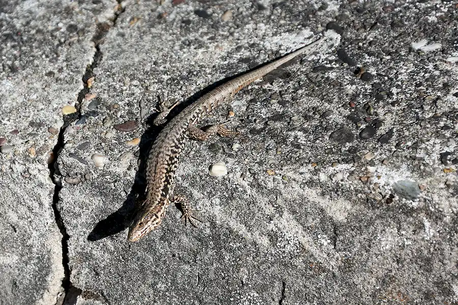 020 | 2022 | Vogelsang IP | © carsten riede fotografie