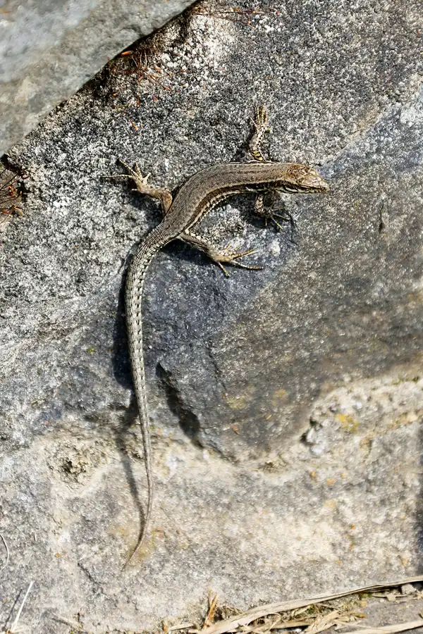023 | 2022 | Vogelsang IP | © carsten riede fotografie