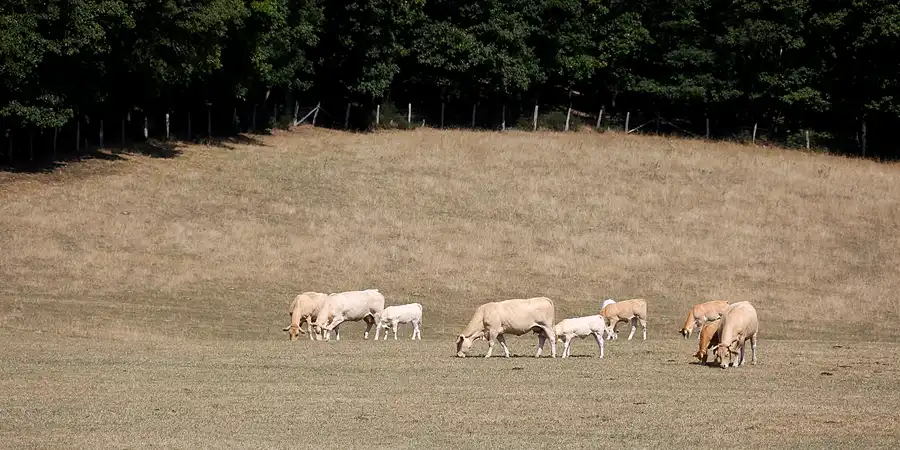 049 | 2022 | Heimbach | © carsten riede fotografie