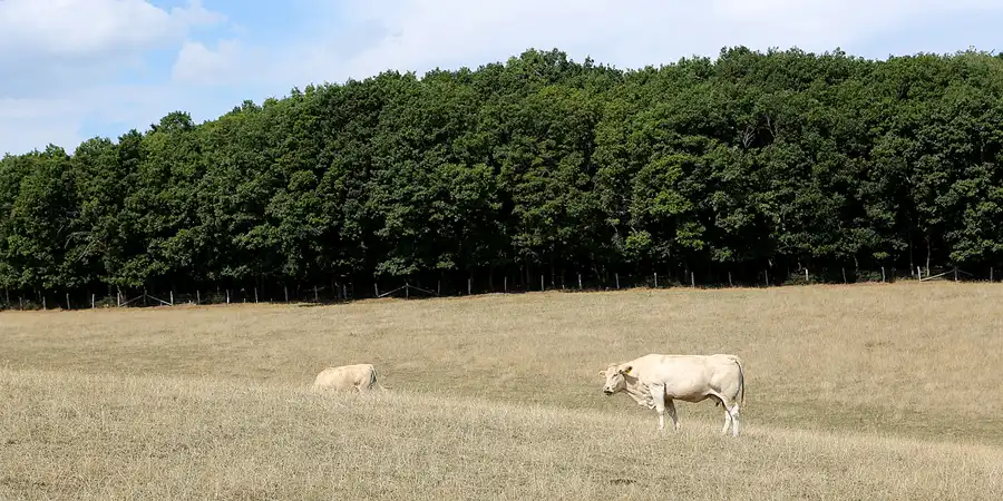 063 | 2022 | Heimbach | © carsten riede fotografie
