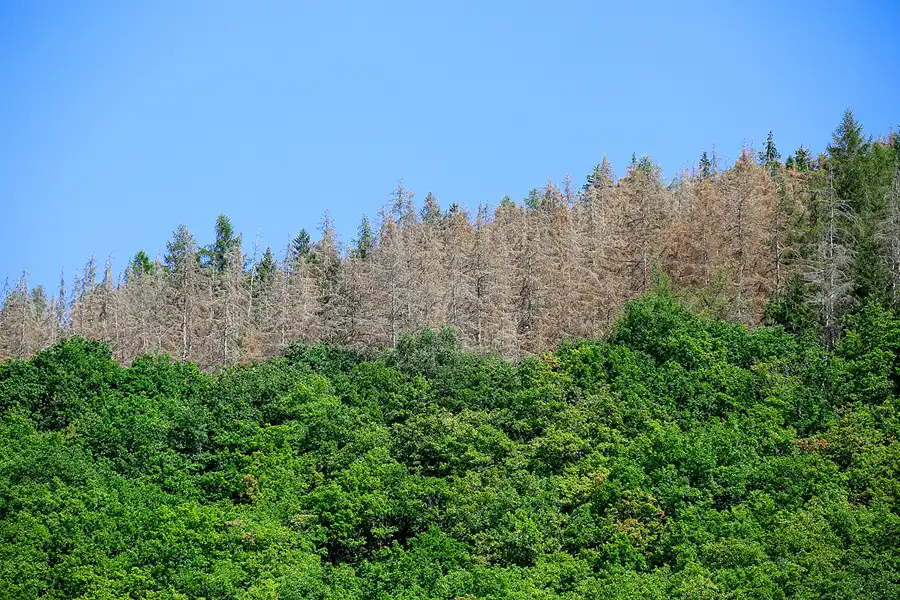 102 | 2022 | Einruhr-Urftstaumauer-Einruhr | Obersee-Rundfahrt | © carsten riede fotografie