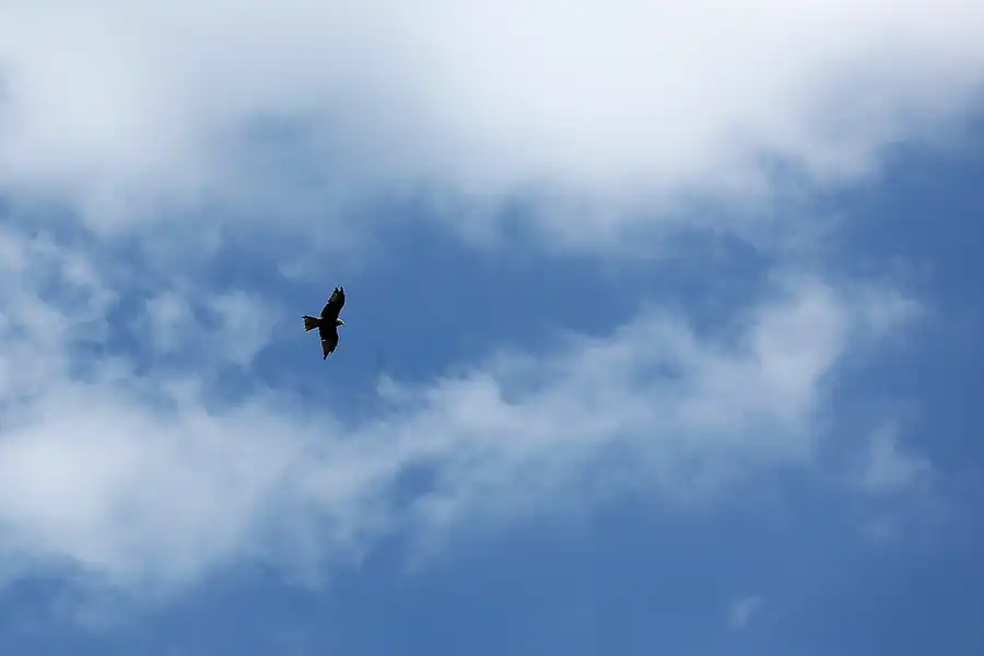 105 | 2022 | Einruhr-Urftstaumauer-Einruhr | Obersee-Rundfahrt | © carsten riede fotografie