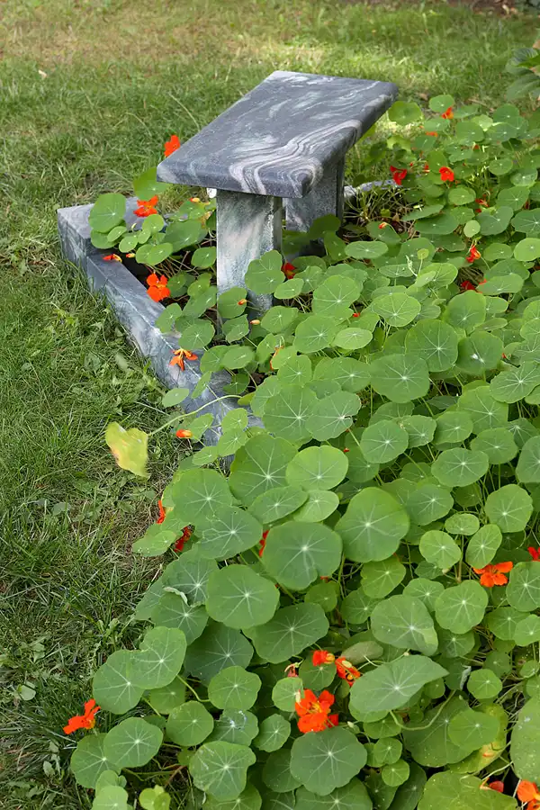 085 | 2022 | Berlin | Dorotheenstädtischer Friedhof | © carsten riede fotografie