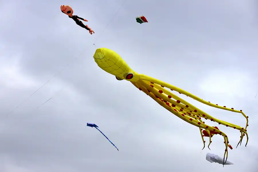 008 | 2022 | Berlin | Festival der Riesendrachen | © carsten riede fotografie