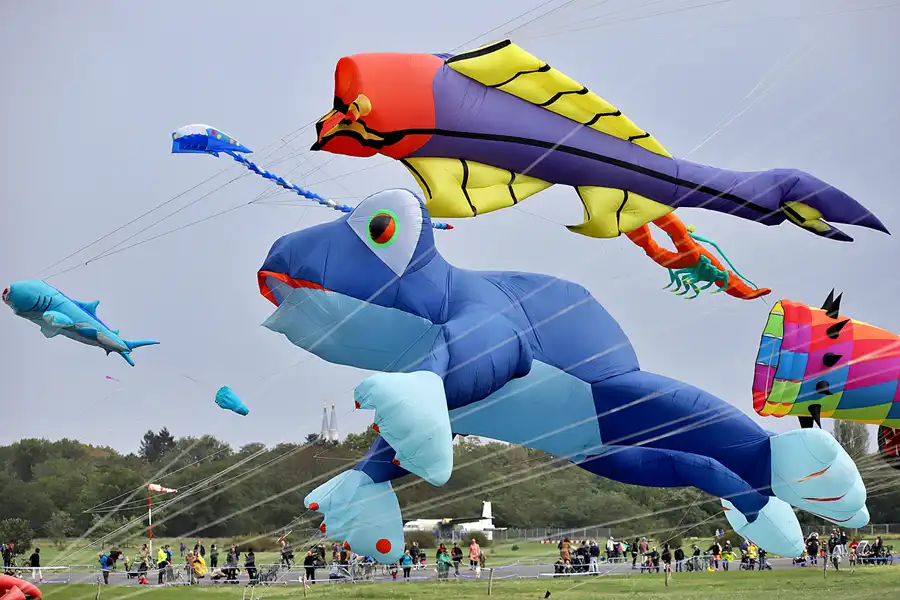 012 | 2022 | Berlin | Festival der Riesendrachen | © carsten riede fotografie