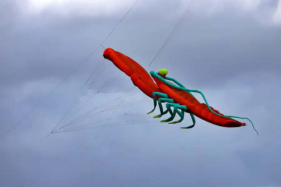 018 | 2022 | Berlin | Festival der Riesendrachen | © carsten riede fotografie