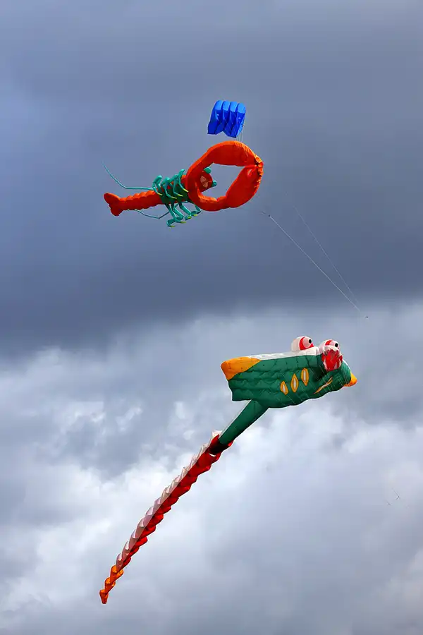 044 | 2022 | Berlin | Festival der Riesendrachen | © carsten riede fotografie