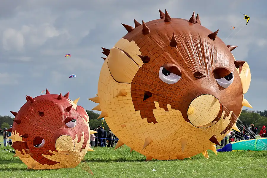 102 | 2022 | Berlin | Festival der Riesendrachen | © carsten riede fotografie