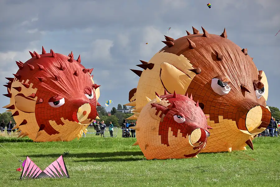 103 | 2022 | Berlin | Festival der Riesendrachen | © carsten riede fotografie