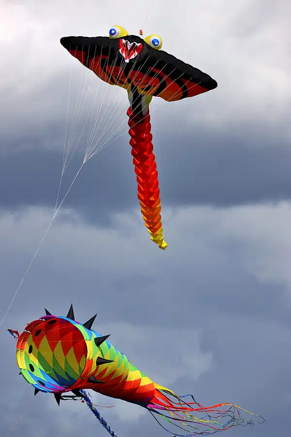 110 | 2022 | Berlin | Festival der Riesendrachen | © carsten riede fotografie