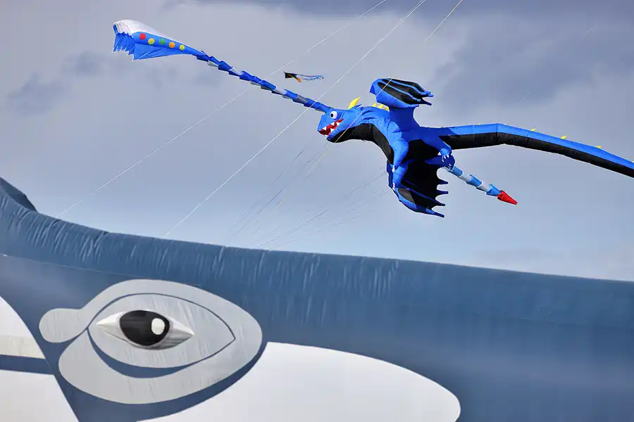 121 | 2022 | Berlin | Festival der Riesendrachen | © carsten riede fotografie