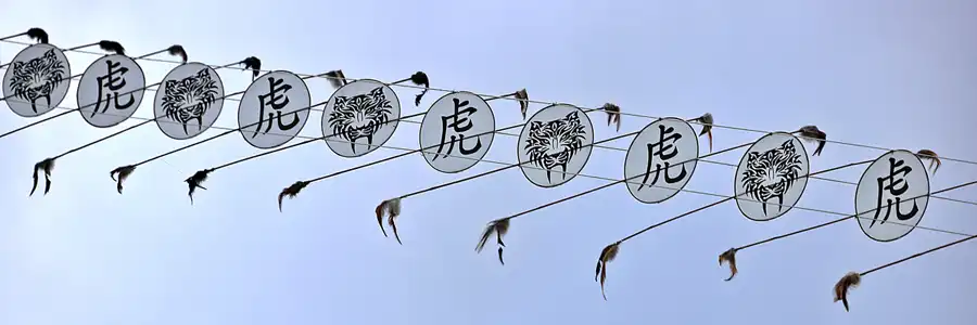 132 | 2022 | Berlin | Festival der Riesendrachen | © carsten riede fotografie