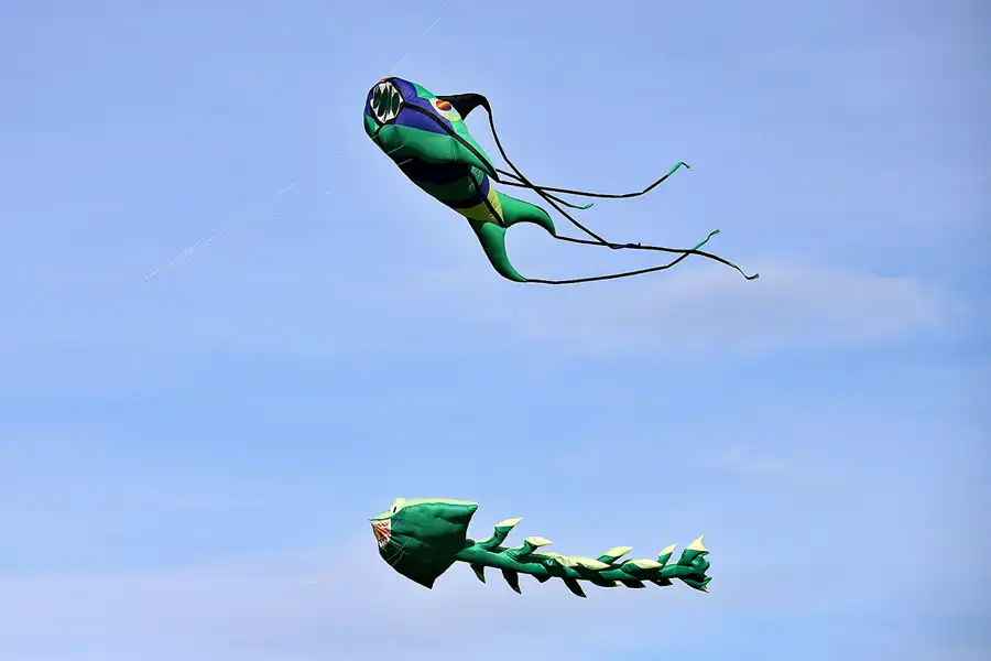 145 | 2022 | Berlin | Festival der Riesendrachen | © carsten riede fotografie