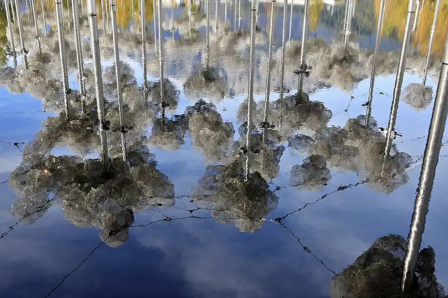 036 | 2022 | Wattens | Swarovski Kristallwelten | © carsten riede fotografie