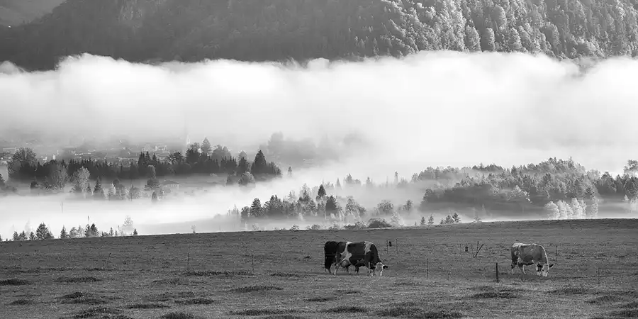 074 | 2022 | Walchsee | © carsten riede fotografie