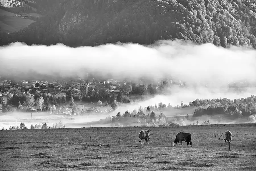 078 | 2022 | Walchsee | © carsten riede fotografie