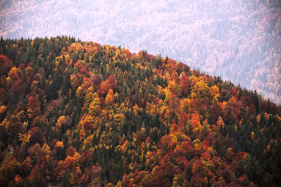 108 | 2022 | Hochkössen | © carsten riede fotografie