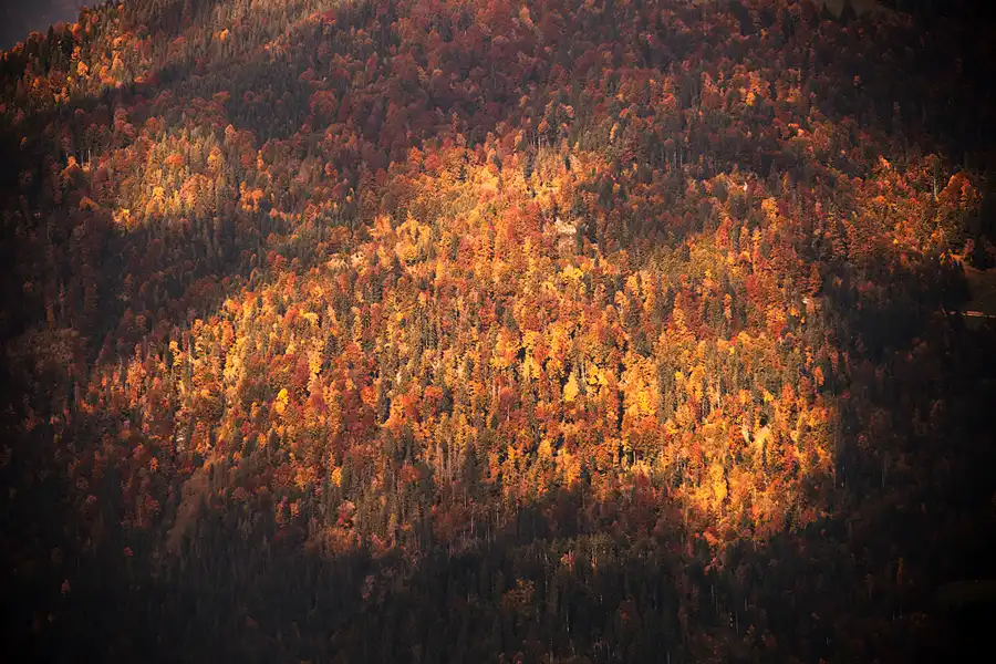 109 | 2022 | Hochkössen | © carsten riede fotografie