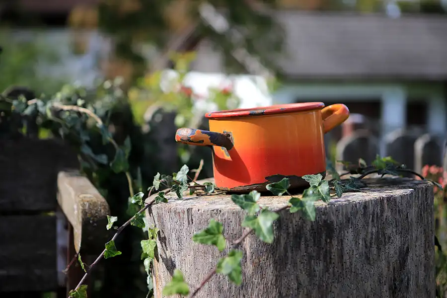 124 | 2022 | Litzldorf | © carsten riede fotografie