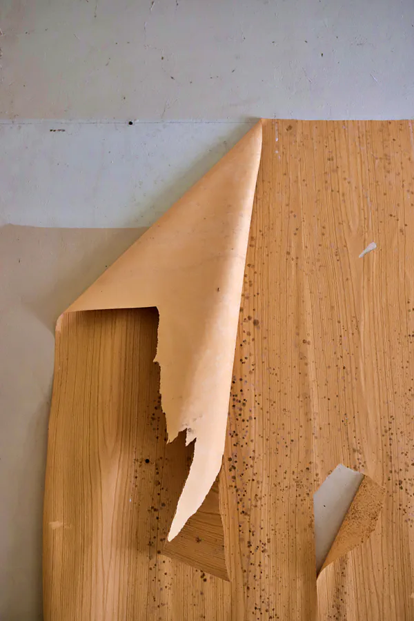 107 | 2022 | Kolkwitz | Lungenheilstätte Kolkwitz | © carsten riede fotografie