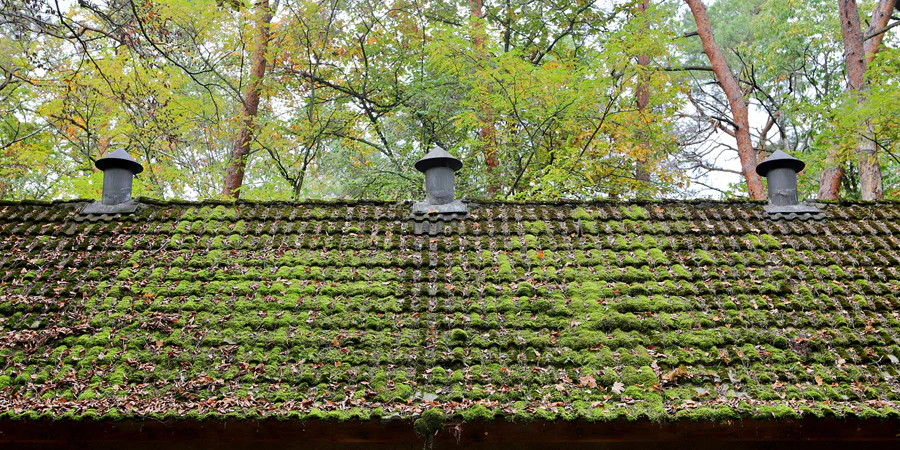 111 | 2022 | Kolkwitz | Lungenheilstätte Kolkwitz | © carsten riede fotografie