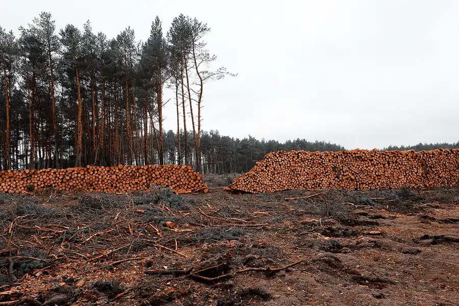 016 | 2023 | Orlina Duża | © carsten riede fotografie