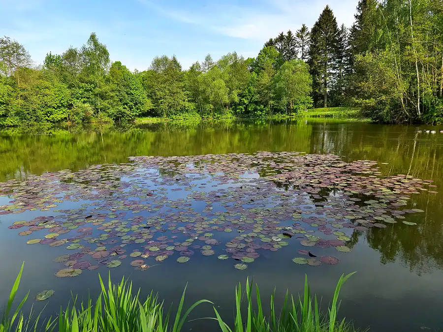 025 | 2023 | Olbersdorf | © carsten riede fotografie