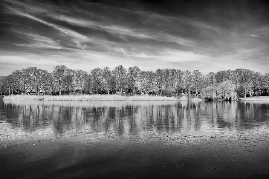 002 | 2023 | Berlin | Obersee-Orankesee-Park | © carsten riede fotografie