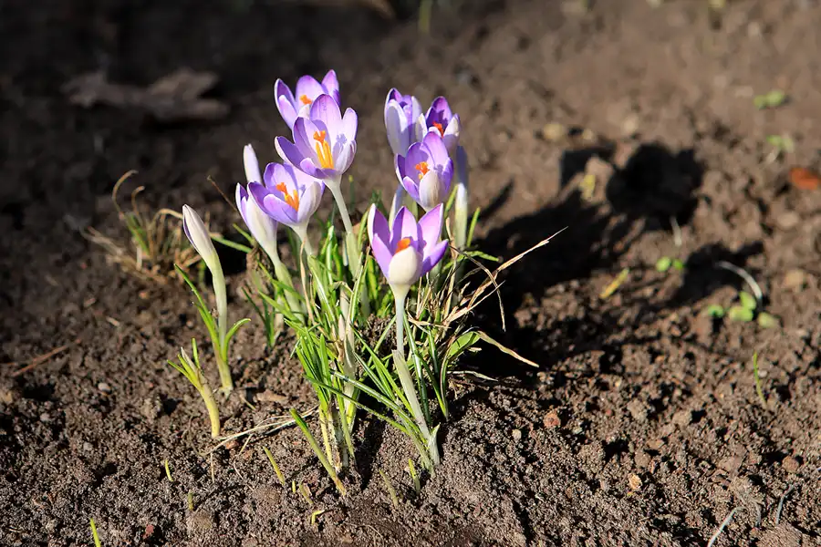 007 | 2023 | Berlin | Obersee-Orankesee-Park | © carsten riede fotografie