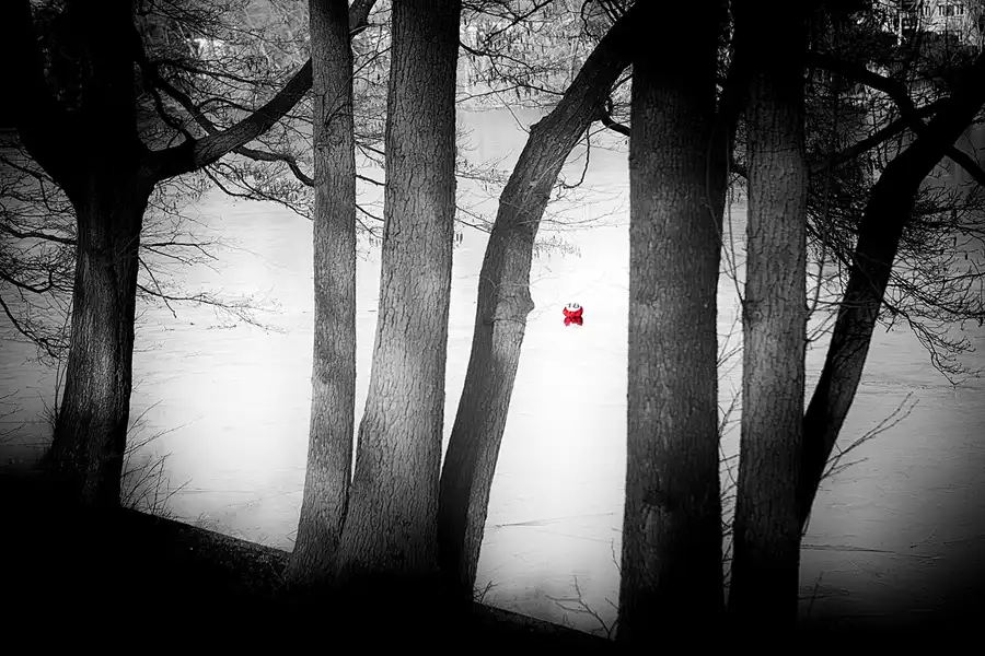 017 | 2023 | Berlin | Obersee-Orankesee-Park | © carsten riede fotografie