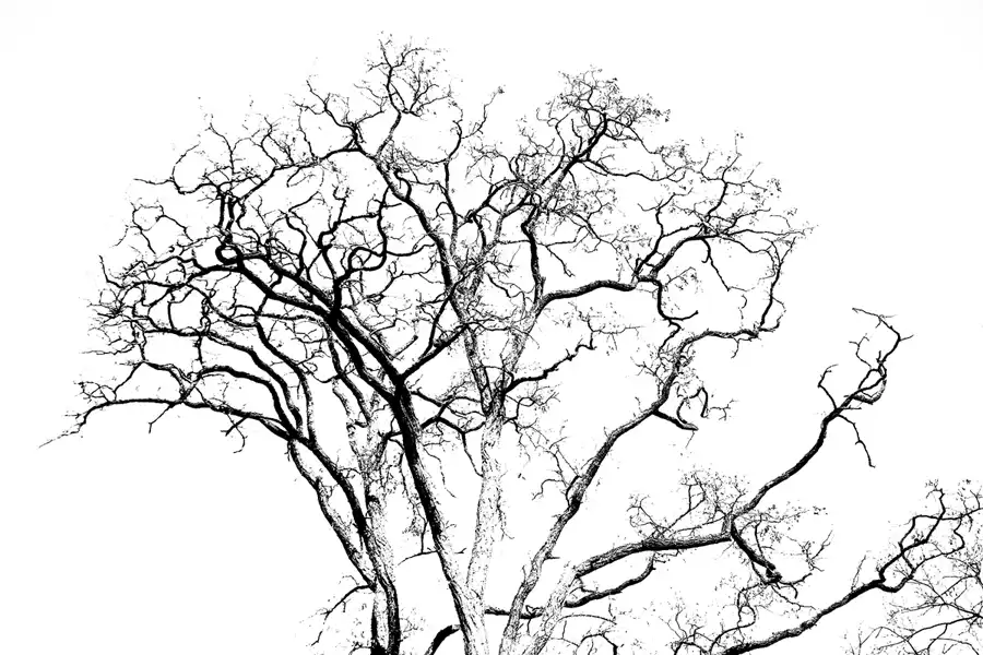 031 | 2023 | Berlin | Obersee-Orankesee-Park | © carsten riede fotografie