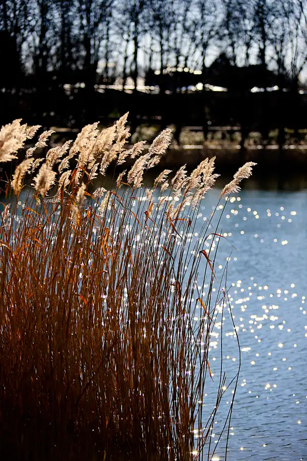 034 | 2023 | Berlin | Obersee-Orankesee-Park | © carsten riede fotografie