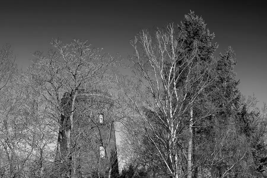 038 | 2023 | Berlin | Obersee-Orankesee-Park | © carsten riede fotografie
