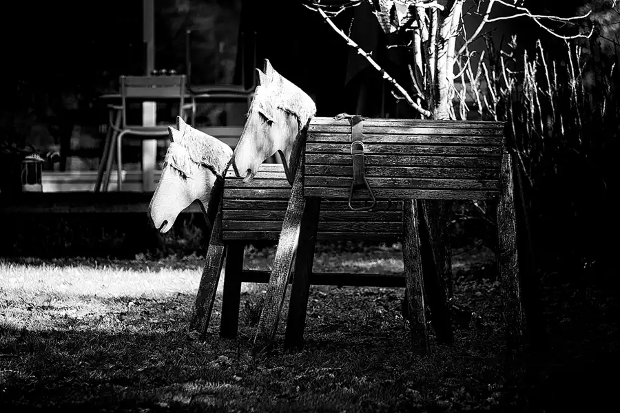 042 | 2023 | Berlin | Obersee-Orankesee-Park | © carsten riede fotografie