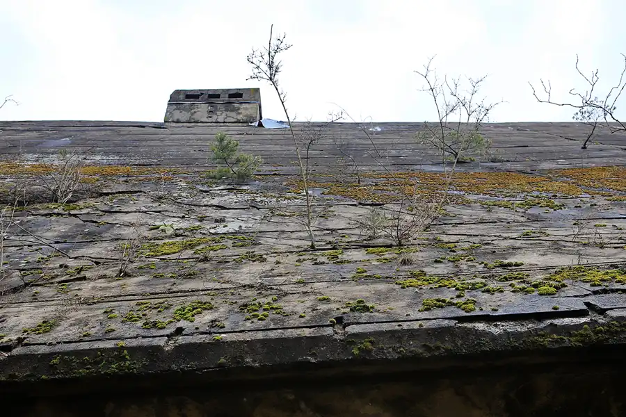 022 | 2023 | Wünsdorf-Waldstadt | Bunkeranlage Maybach I | © carsten riede fotografie