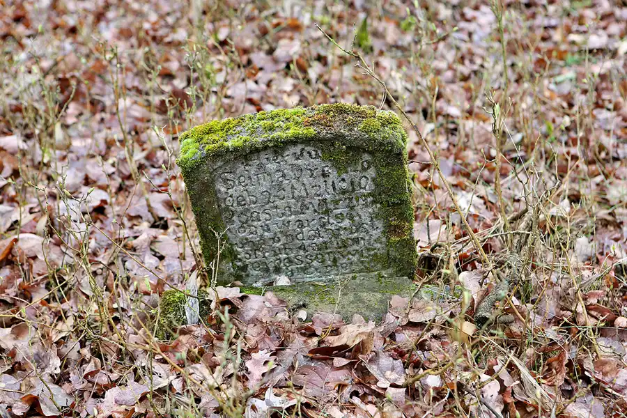 029 | 2023 | Orlina Duża | Cmentarz Ewangelicki | © carsten riede fotografie