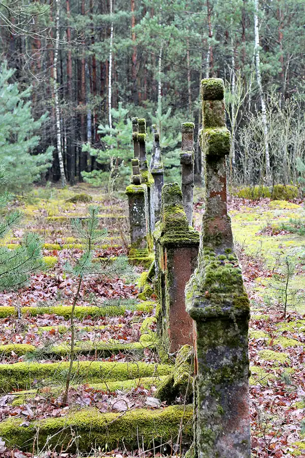 035 | 2023 | Orlina Duża | Cmentarz Ewangelicki | © carsten riede fotografie